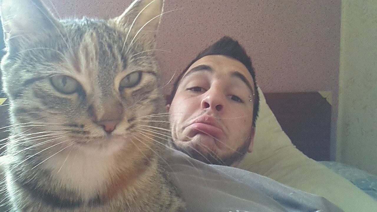 Câline a rejoint le concours — aidez-le/la à gagner de superbes lots ! asian, carnivore, cat, domestic_short_haired_cat, european_shorthair, face, felidae, fur, head, nose, selfie, small_to_medium_sized_cats, snout, whiskers