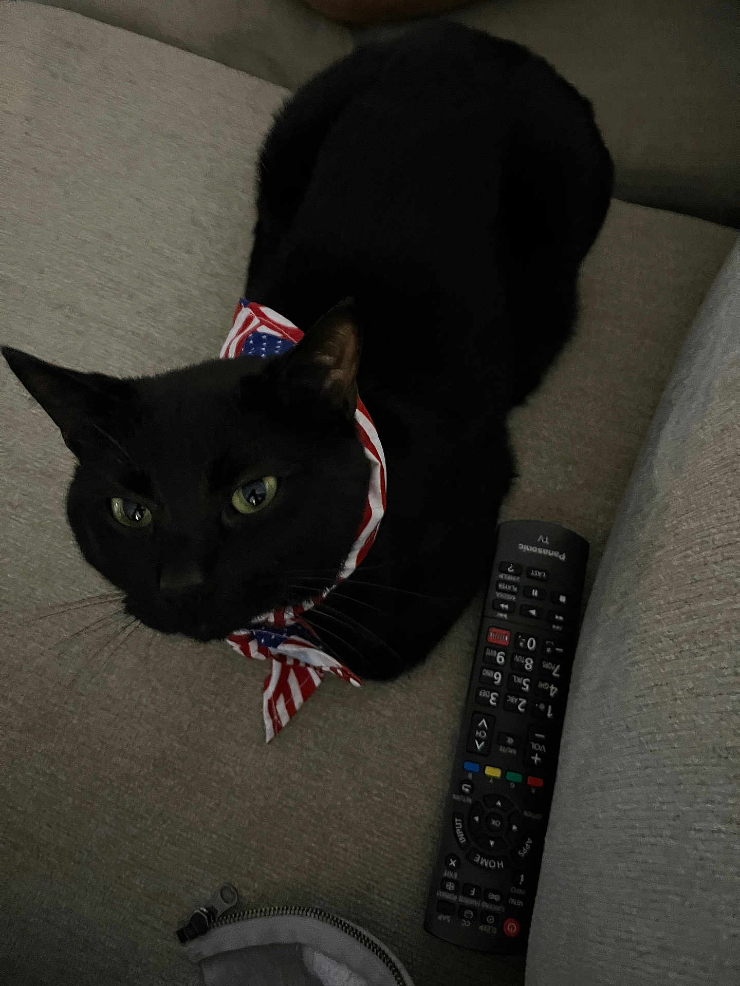 Flufferson is registered to the contest to win money with this photo: black_cat, cat, pet, animal, indoor, couch, remote_control, bandana, fabric, feline, domestic_animal, green_eyes, closeup, resting, cute, whiskers, fur, living_room, home, relaxation