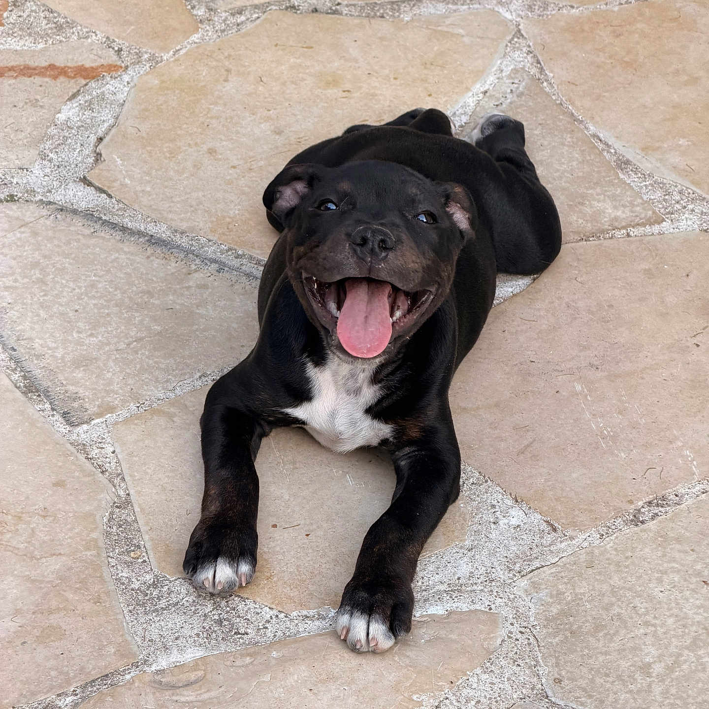 Tyson