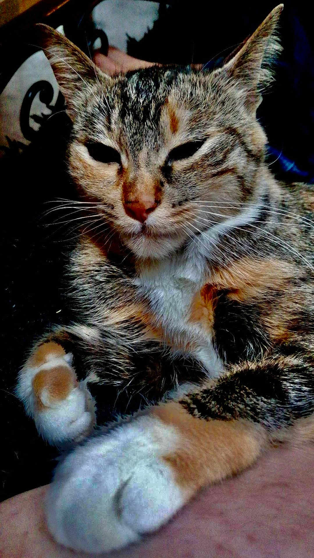 Rosy
