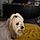 Mi-Loup