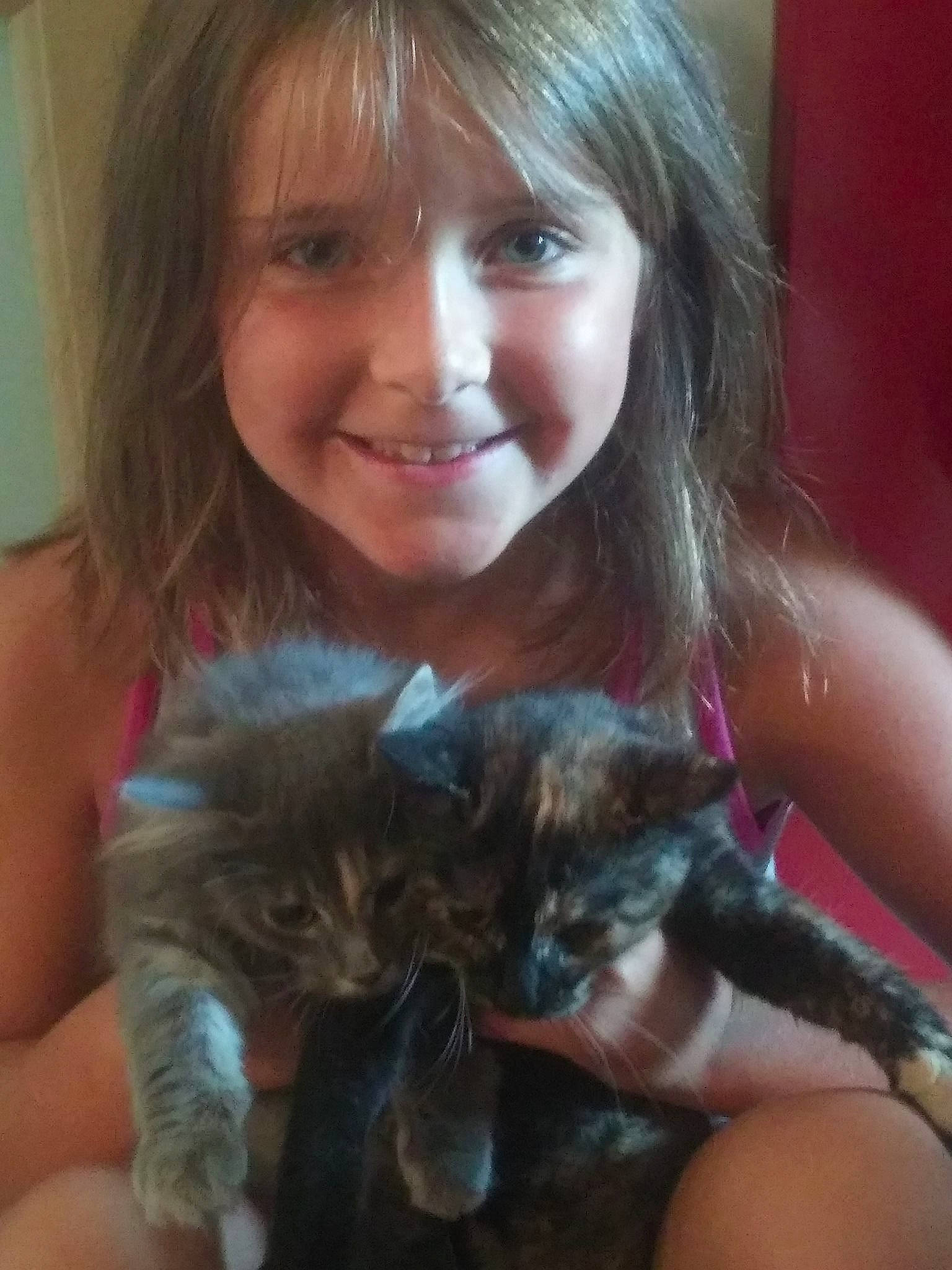 Lily participe au concours pour gagner de l'argent avec cette photo : brown_hair, carnivoran, cat, cat_like_mammal, girl, iris, joy, kitten, mammal, person, small_to_medium_sized_cats, vertebrate, whiskers