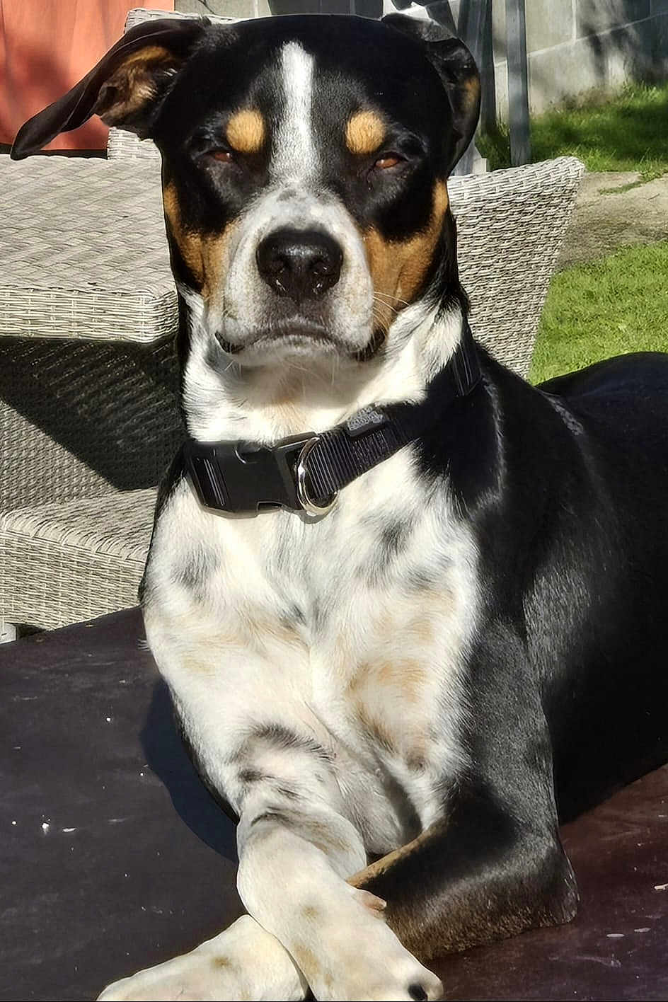 Onyx