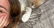 Snow a rejoint le concours — aidez-le/la à gagner de superbes lots ! bed, cat, closeup, cozy, ear, face, feline, hair, hand, indoor, light, patterned_pillow, person, pillow, relaxed, resting, skin, sleeping_cat, smile, whiskers