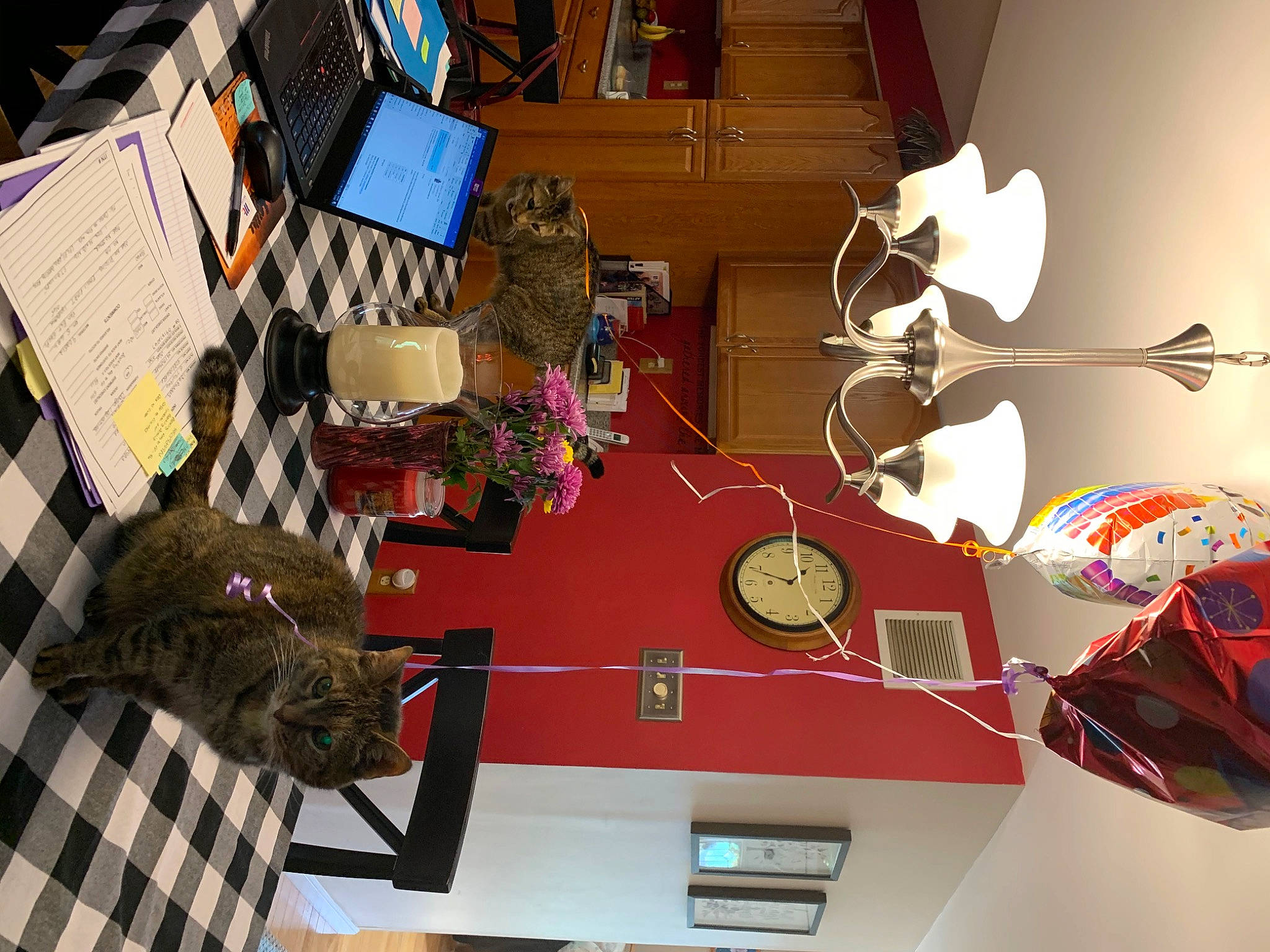 Tiffany is registered to the contest to win money with this photo: art, carmine, desk, eyewear, fur, house, illustration, input_device, interior_design, laptop, machine, office_equipment, office_supplies, personal_computer, plant, room, space, table, visual_arts, wood