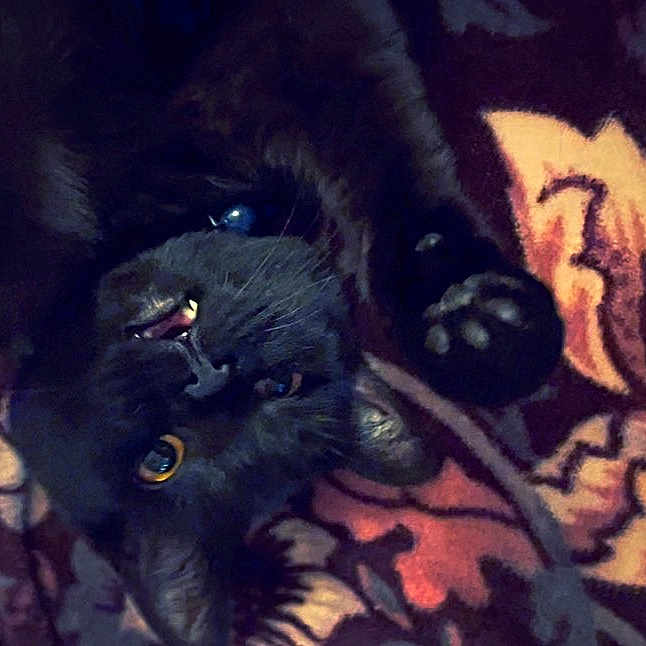 Samhain