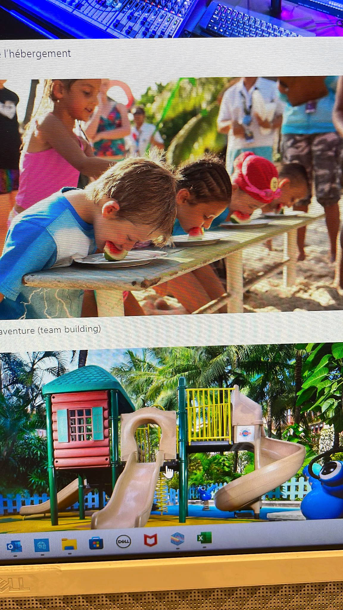 Eva a rejoint le concours — aidez-le/la à gagner de superbes lots ! adaptation, art, blue, fun, grass, green, happy, leisure, mammal, nature, people_in_nature, person, photograph, plant, public_space, recreation, sharing, shorts, summer, t_shirt