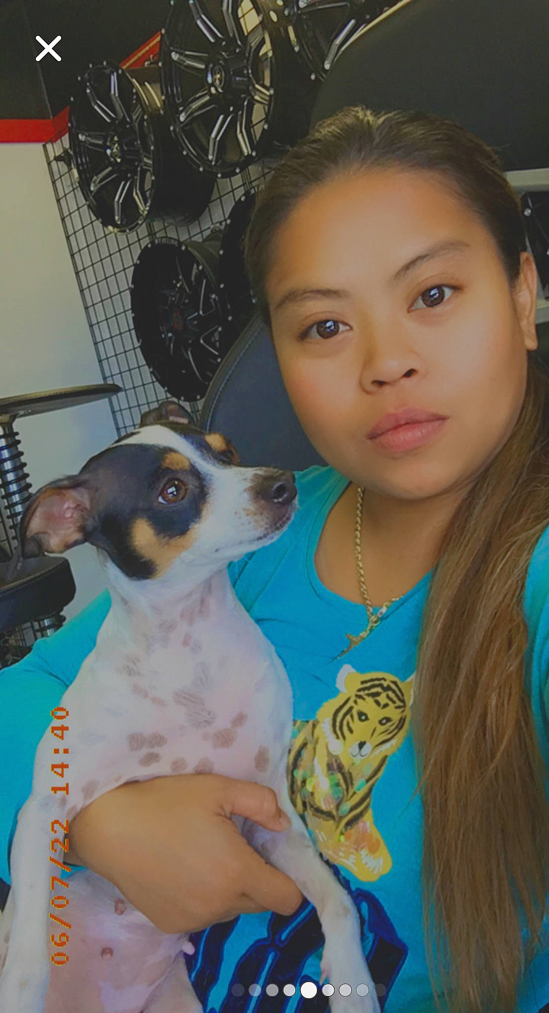 Chocolate joined the competition — help win amazing prizes! canidae, carnivore, child, companion_dog, cool, dog, dog_breed, ear, eyelash, fawn, fun, happy, iris, neck, picture_frame, puppy, snout, sporting_group, toy_dog, whiskers