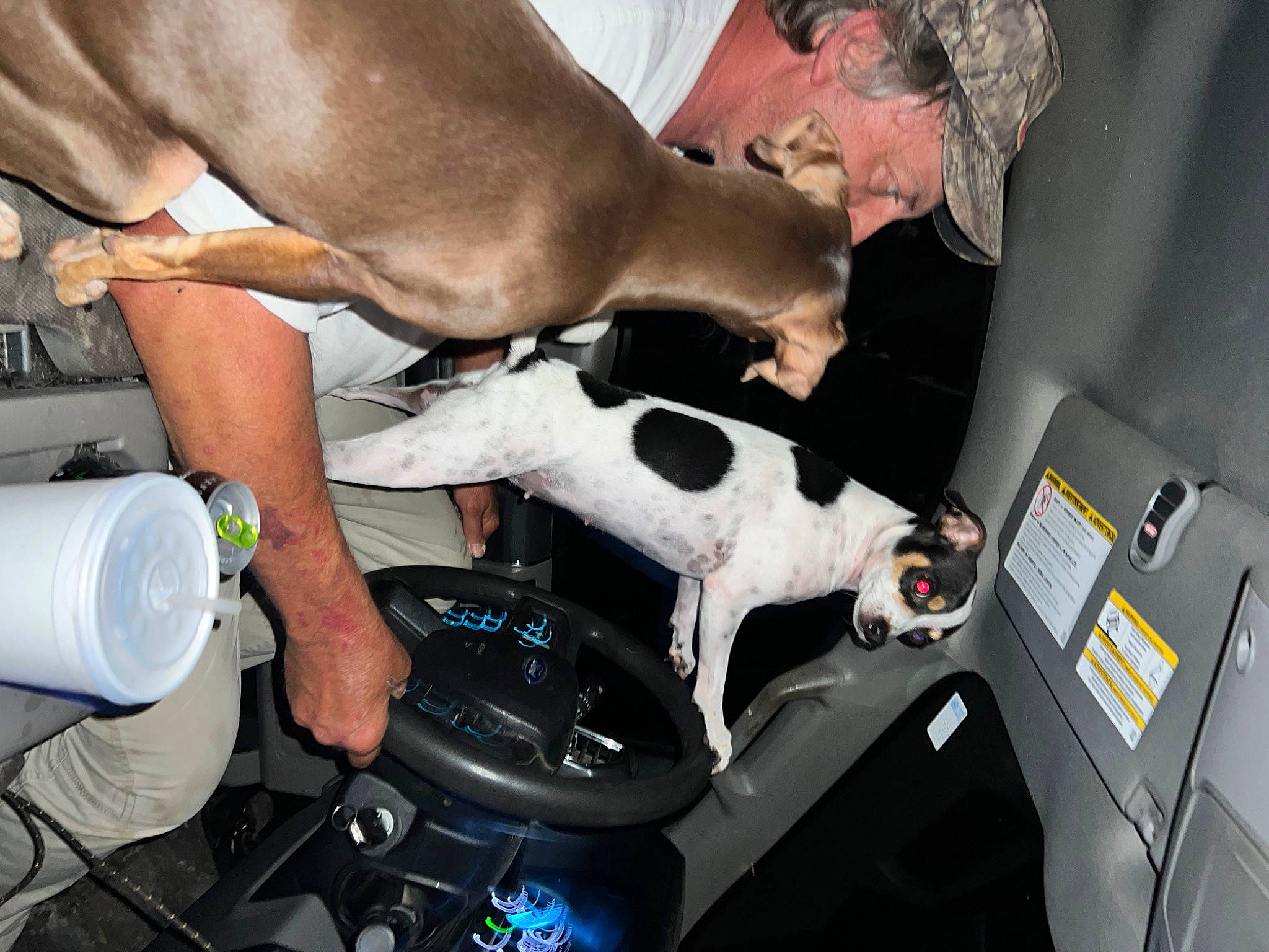 Chocolate joined the competition — help win amazing prizes! auto_part, automotive_design, automotive_exterior, automotive_wheel_system, carnivore, dog, elbow, fawn, gear_shift, human_leg, luxury_vehicle, motor_vehicle, personal_luxury_car, service, snout, steering_wheel, thigh, vehicle, vehicle_door, windshield