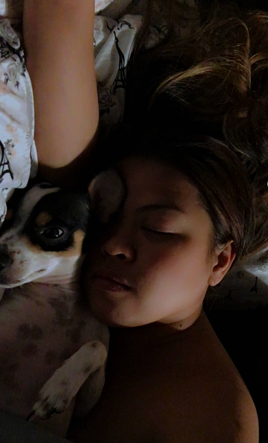 Chocolate is registered to the contest to win money with this photo: black_hair, carnivore, child, companion_dog, cool, dog, dog_breed, ear, eyelash, eyewear, fawn, flash_photography, happy, human, organ, skin, snout, toy_dog, vertebrate, whiskers