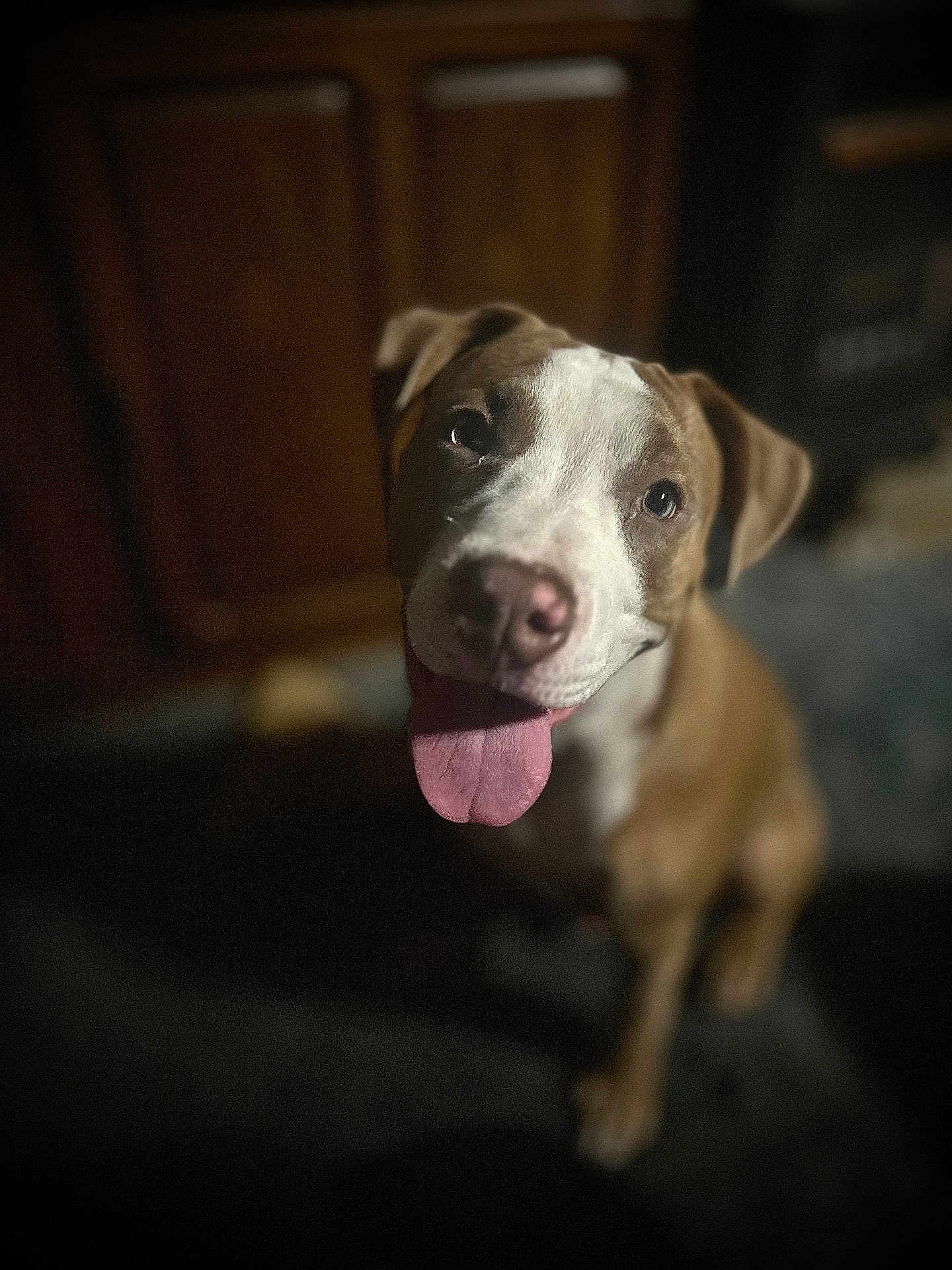 Mulder