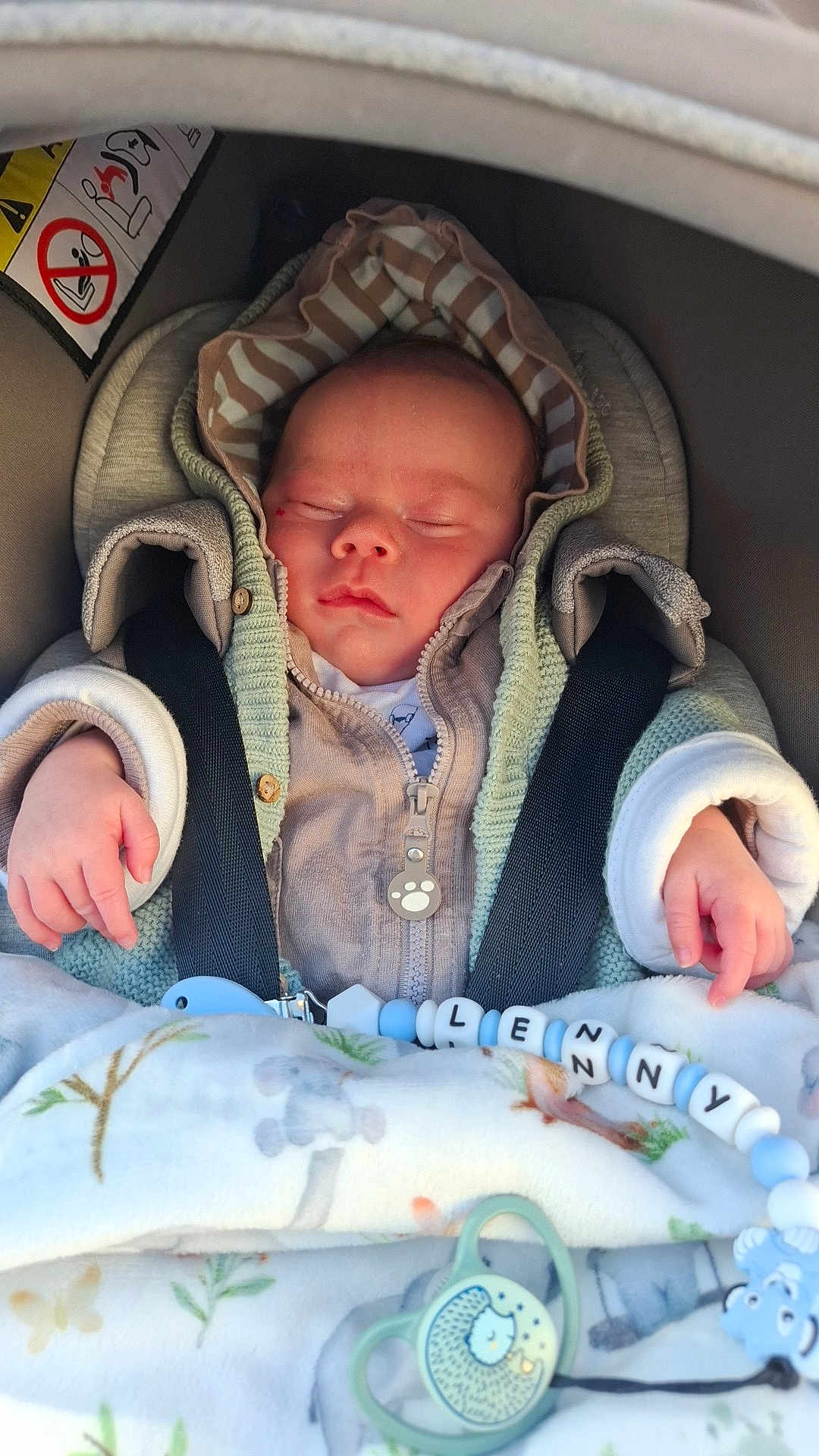 Lenny a rejoint le concours — aidez-le/la à gagner de superbes lots ! baby, sleeping, car_seat, blanket, pacifier, beads, child, infant, warm_clothing, hood, zipped_jacket, hands, cute, peaceful, soft_texture, indoor, closeup, portrait, child_safety, resting