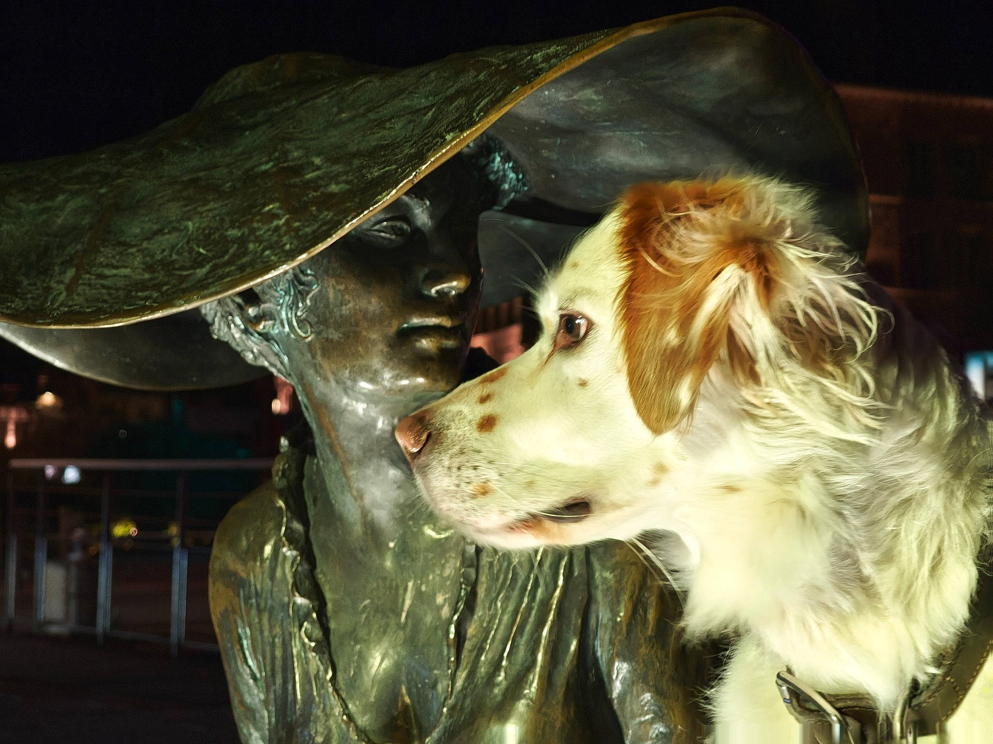 Pearl participe au concours pour gagner de l'argent avec cette photo : canidae, carnivore, companion_dog, costume, costume_hat, darkness, dog, dog_breed, event, fang, fashion_accessory, fur, hat, jaw, snout, sporting_group, sun_hat, whiskers, working_animal, working_dog