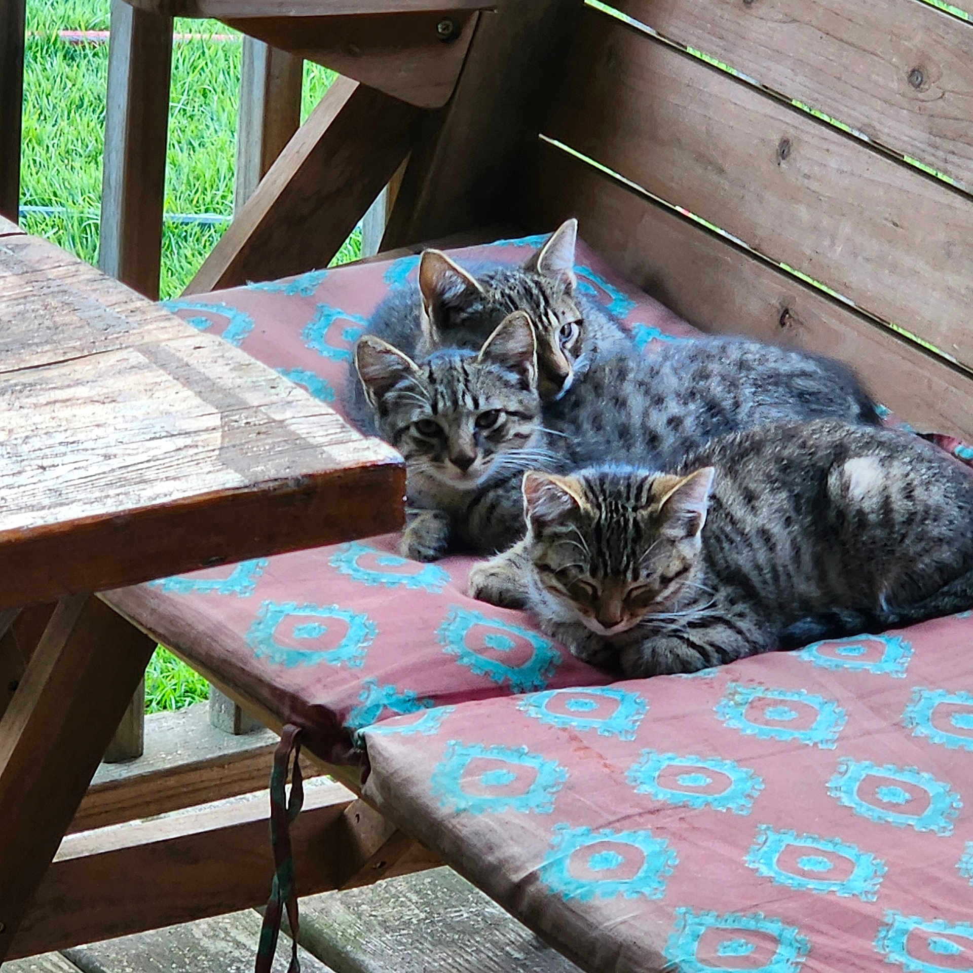 Spots
