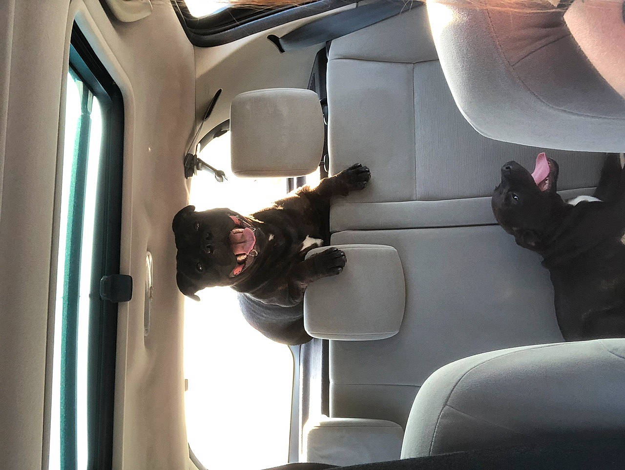 Rafal a rejoint le concours — aidez-le/la à gagner de superbes lots ! air_travel, airline, auto_part, automotive_design, automotive_exterior, car_seat, car_seat_cover, comfort, family_car, head_restraint, luxury_vehicle, mode_of_transport, motor_vehicle, passenger, personal_luxury_car, seat_belt, steering_part, vehicle, vehicle_door, window