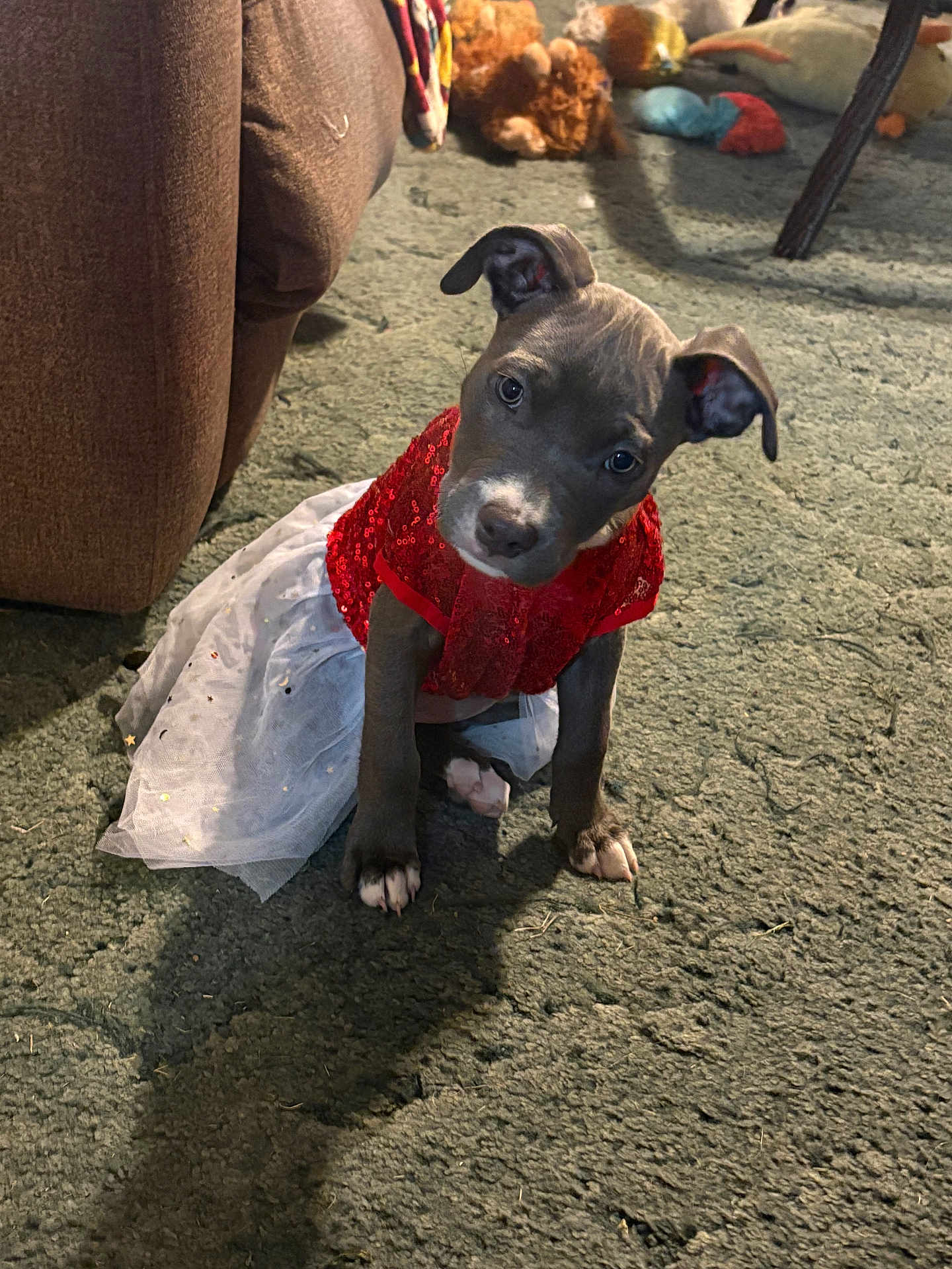 Khaleesi
