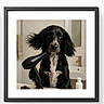 dog, black_dog, white_fur, hairdryer, bathroom, sink, mirror, towel, pet, portrait, framed_photo, fur, paw, ears, blown_back, domestic, indoor, cute, animal, funny