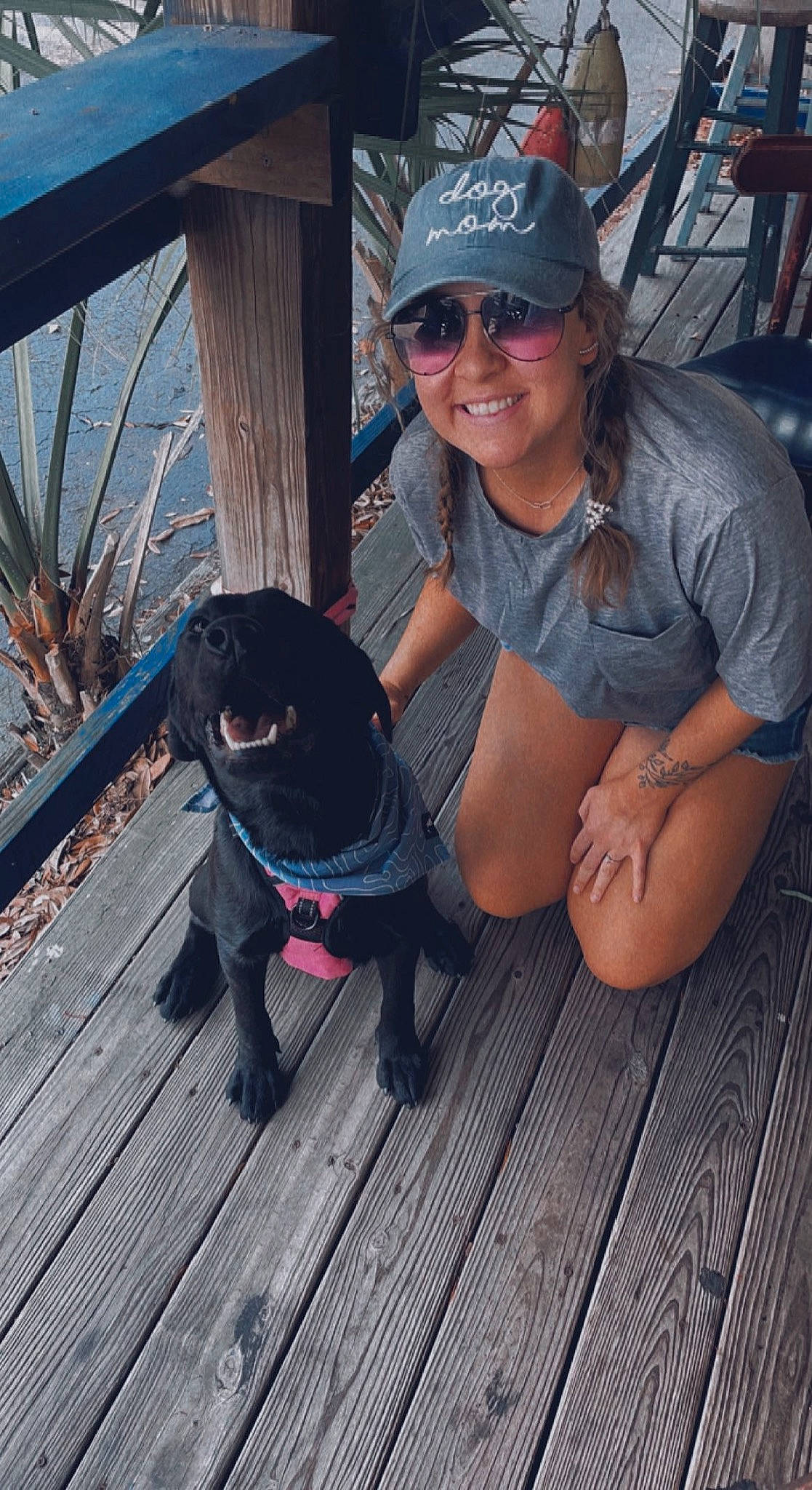 Gracie joined the competition — help win amazing prizes! baseball_cap, cap, carnivore, collar, companion_dog, dog, dog_breed, dog_collar, eyewear, fawn, glasses, goggles, hat, leg, mammal, smile, sunglasses, thigh, wood, working_animal