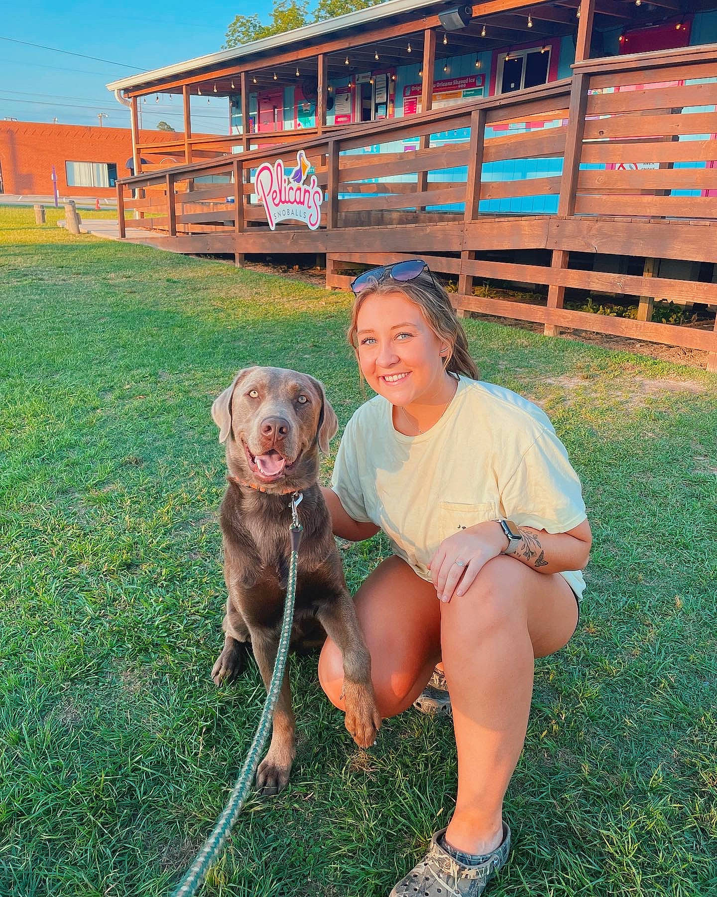 Shine joined the competition — help win amazing prizes! carnivore, chair, companion_dog, dog, dog_breed, fawn, fun, grass, gun_dog, landscape, leisure, liver, outdoor_furniture, plant, recreation, sky, smile, sunglasses, thigh, working_animal