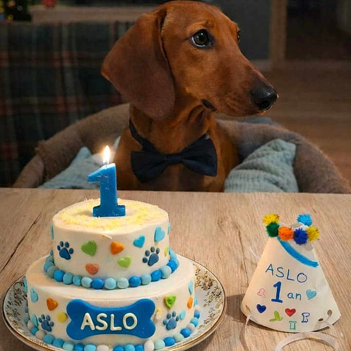 Aslo
