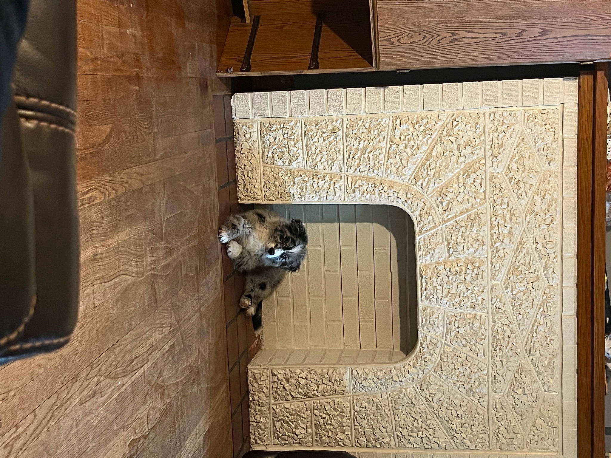 Rex is registered to the contest to win money with this photo: art, brick, brickwork, building, concrete, daylighting, door, facade, flooring, hardwood, home_door, house, metal, plywood, rectangle, room, sculpture, window, wood, wood_stain