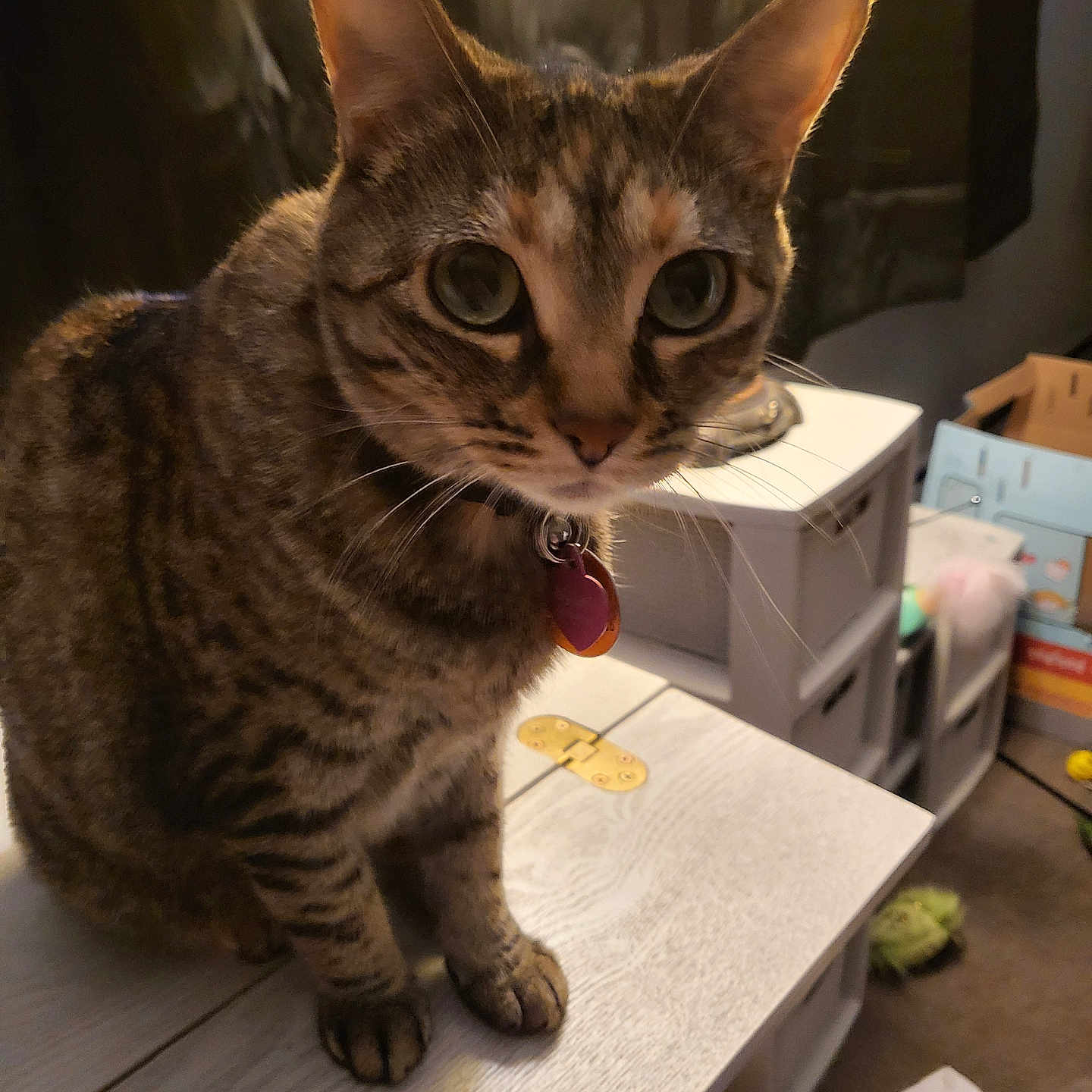 Syla
