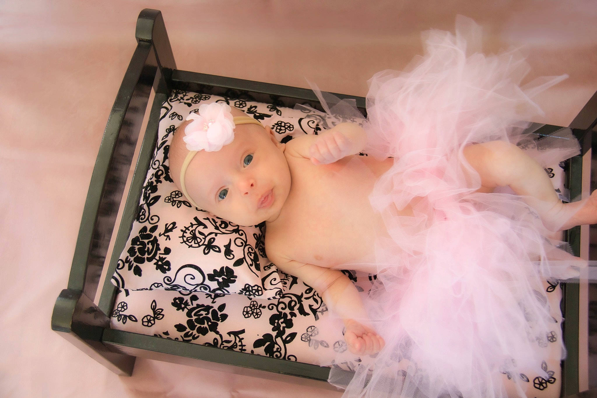Amy participe au concours pour gagner de l'argent avec cette photo : baby, baby_toddler_clothing, chest, child, dress, embellishment, eyelash, fashion_accessory, fawn, flesh, fur, headpiece, headwear, jewellery, person, pink, rectangle, room, sitting, toddler