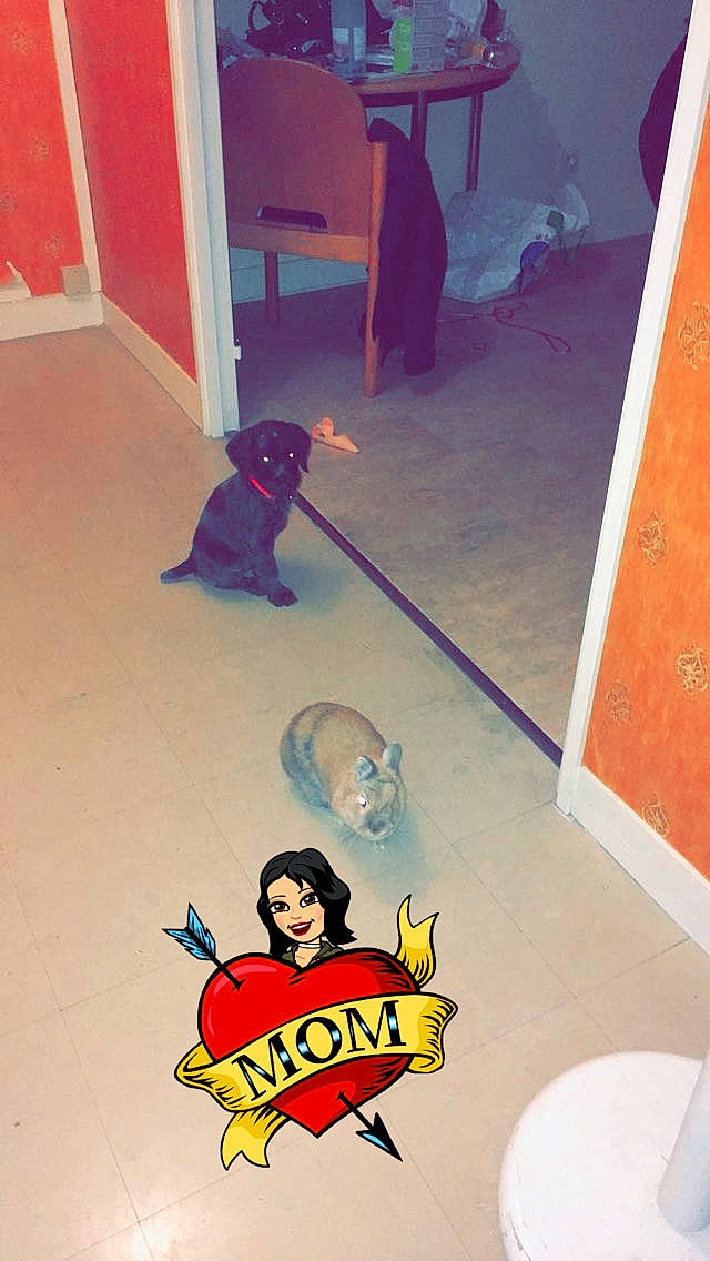 Nestea a rejoint le concours — aidez-le/la à gagner de superbes lots ! art, batman, cartoon, comics, fiction, fictional_character, floor, flooring, illustration, red, superhero