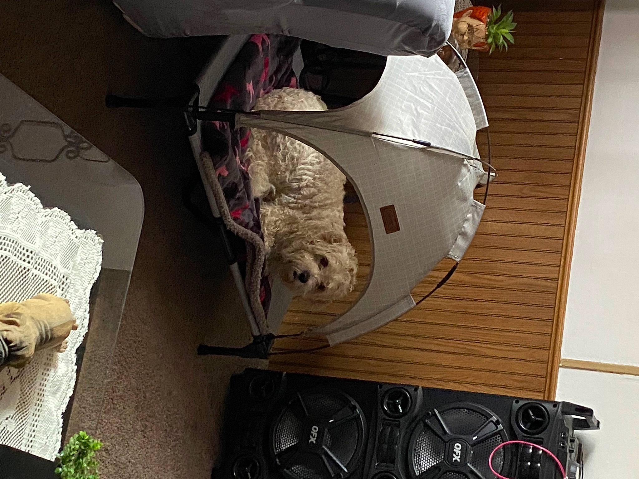 Shadow is registered to the contest to win money with this photo: art, audio_equipment, auto_part, automotive_design, automotive_exterior, automotive_lighting, automotive_tire, bumper, electrical_wiring, headlamp, hood, motor_vehicle, personal_protective_equipment, plant, sculpture, vehicle, vehicle_door, white, wire, wood