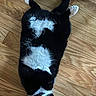 animal_portrait, belly_up, black_and_white, cat, cute, feline, floor, green_eyes, hardwood, indoor, lying_down, pet, playful, relaxed, tail, tuxedo_cat, upside_down, whiskers, white_paws, wooden_floor