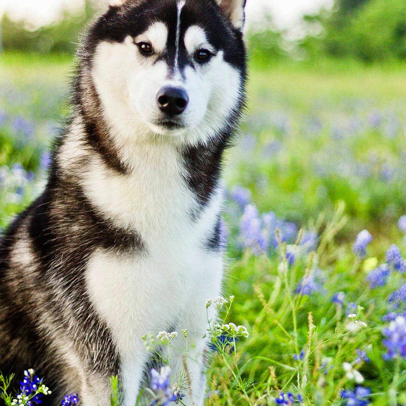 Tristan joined the competition — help win amazing prizes!