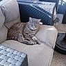 cat, gray_tabby, sofa, outdoor_furniture, cushion, woven_texture, relaxed, sunlight, shadow, pet, animal, resting, home, patio, cozy, feline, whiskers, ears, paws, floor