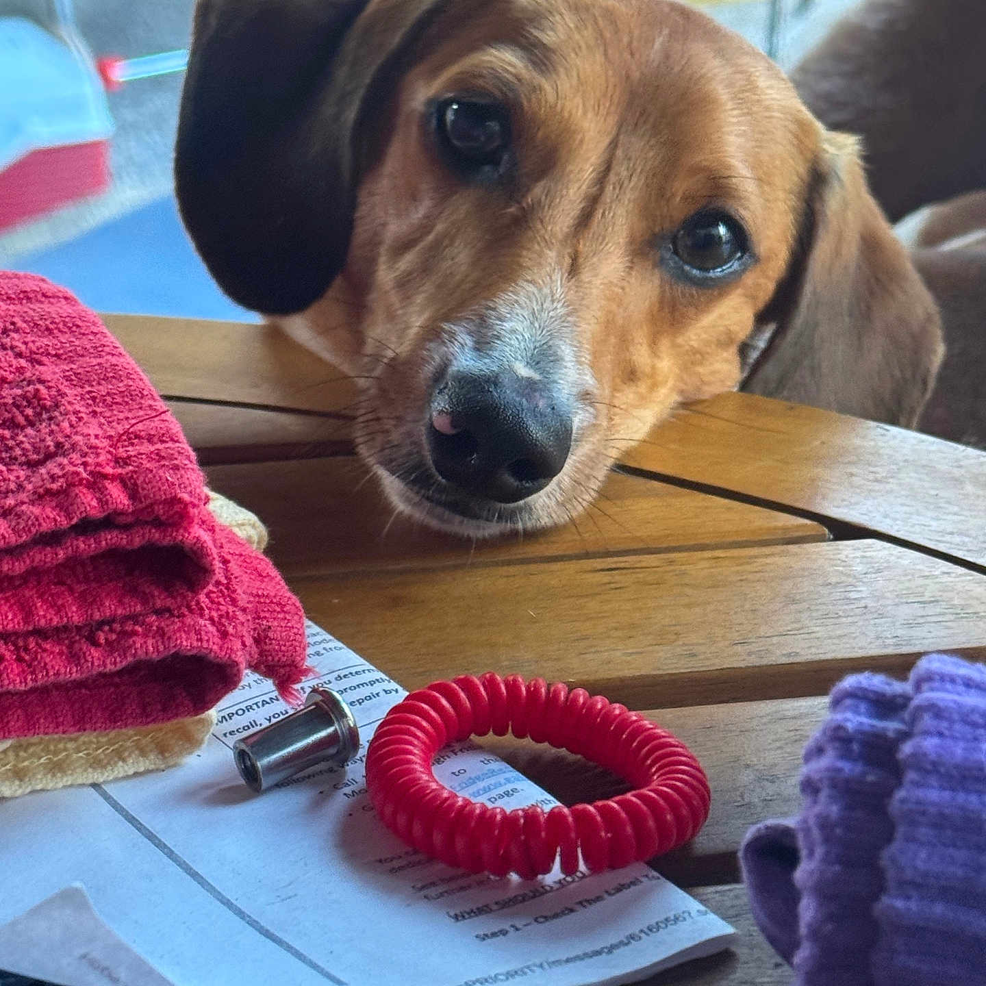 Cooper