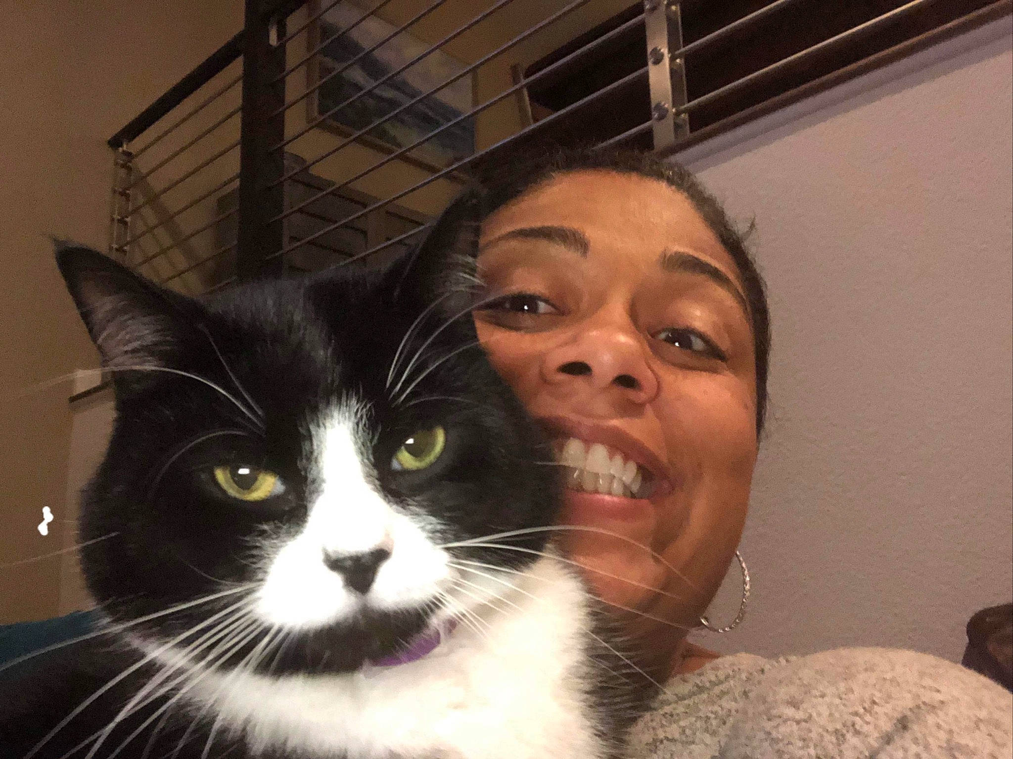 Buttons joined the competition — help win amazing prizes! carnivore, cat, comfort, domestic_short_haired_cat, felidae, formal_wear, fur, happy, iris, jaw, moustache, nose, selfie, small_to_medium_sized_cats, smile, snout, whiskers