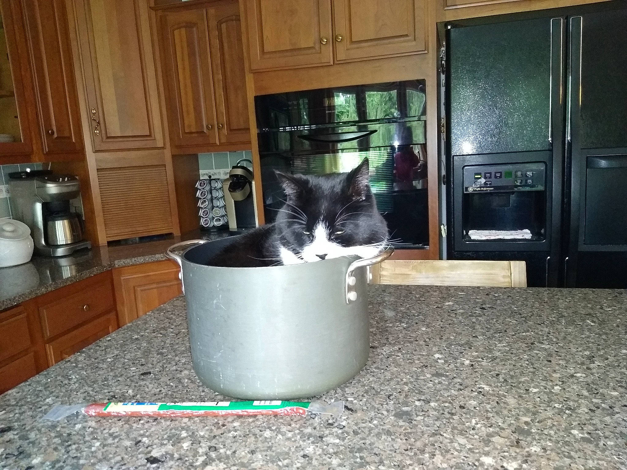 Buttons is registered to the contest to win money with this photo: blender, cabinetry, carnivore, cat, cat_supply, door, felidae, floor, flooring, food_processor, hardwood, home_appliance, kitchen, kitchen_appliance, major_appliance, mixer, room, small_to_medium_sized_cats, tail, whiskers