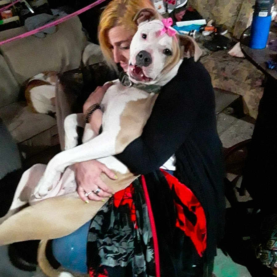 Chloe joined the competition — help win amazing prizes! carmine, carnivore, companion_dog, costume, dog, dog_breed, dog_clothes, dog_supply, event, fawn, fictional_character, formal_wear, fur, glove, goth_subculture, mask, personal_protective_equipment, snout, sporting_group, working_animal