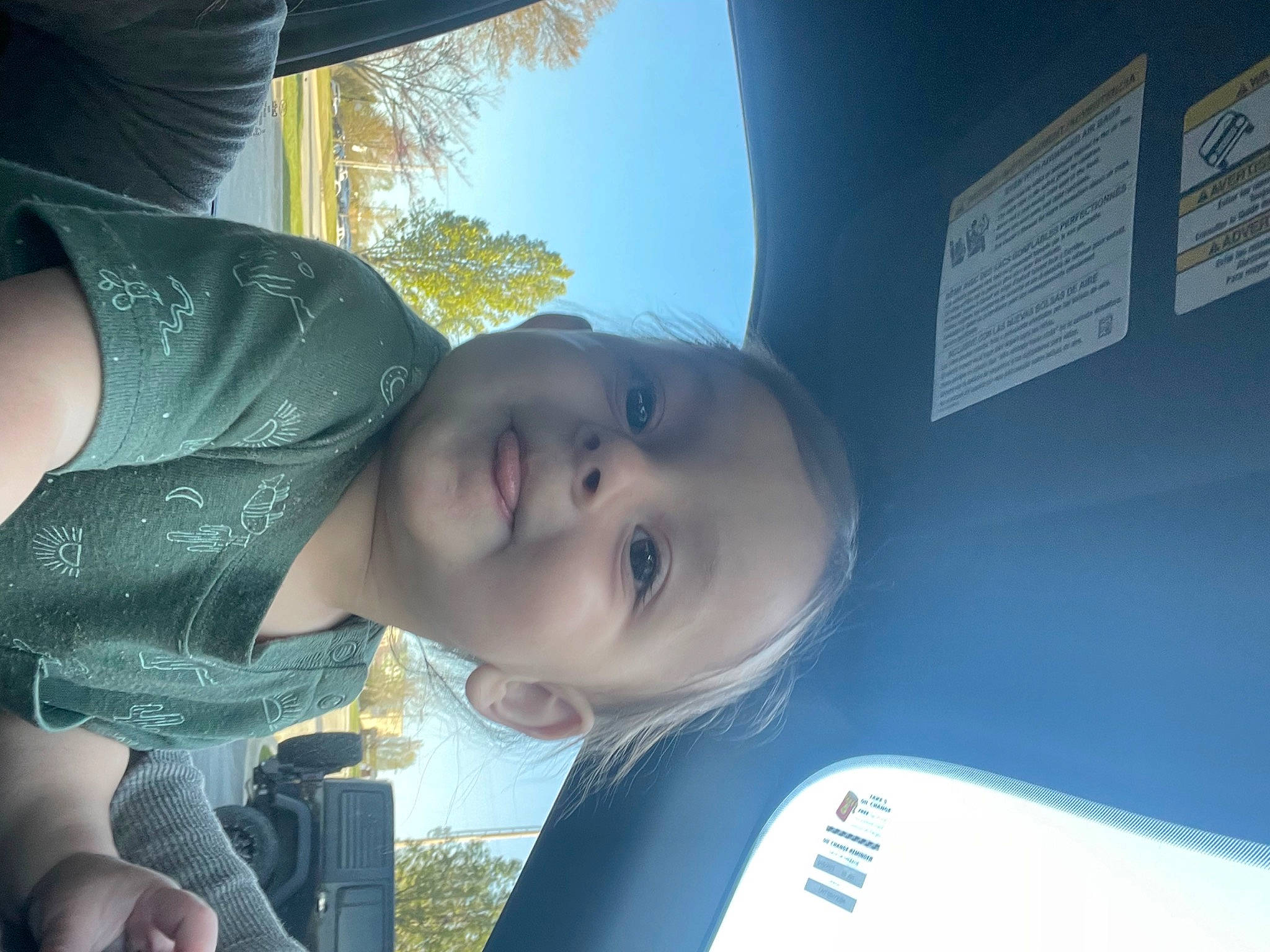 Callen is registered to the contest to win money with this photo: auto_part, automotive_lighting, baby, black_hair, car_seat, electric_blue, fun, grass, happy, jaw, joy, leisure, nose, person, skin, sky, smile, toddler, tree, vehicle_door