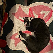 Toasty Extra Crispy is registered to the contest to win money with this photo: cat, sleeping, black_and_white, paw_shaped_rug, indoor, carpet, pet, cozy, resting, fur, collar, slippers, floor, furniture_leg, quiet, curled_up, domestic_animal, cute, relaxing, home