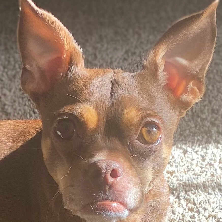 Lola