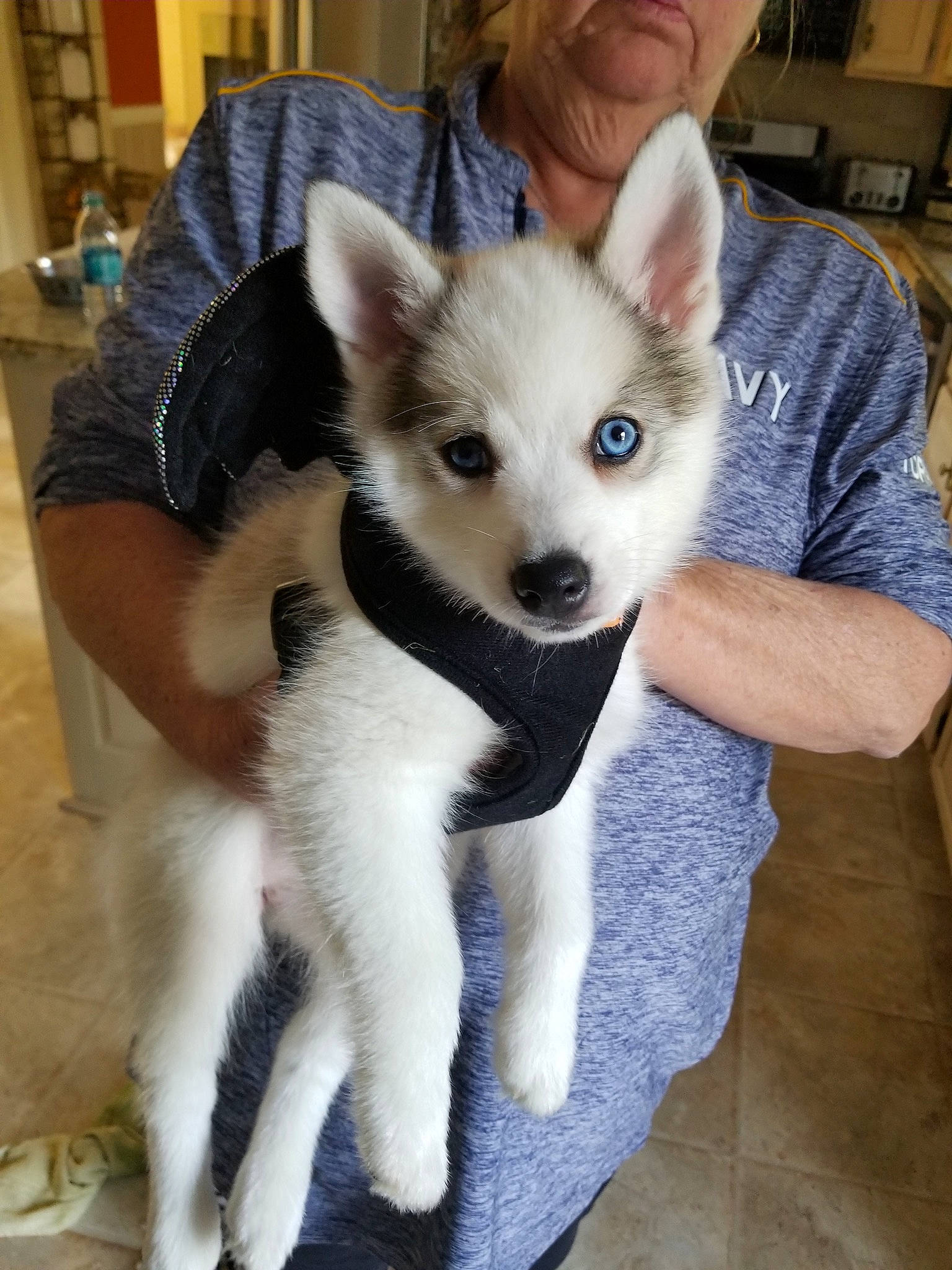 Nala