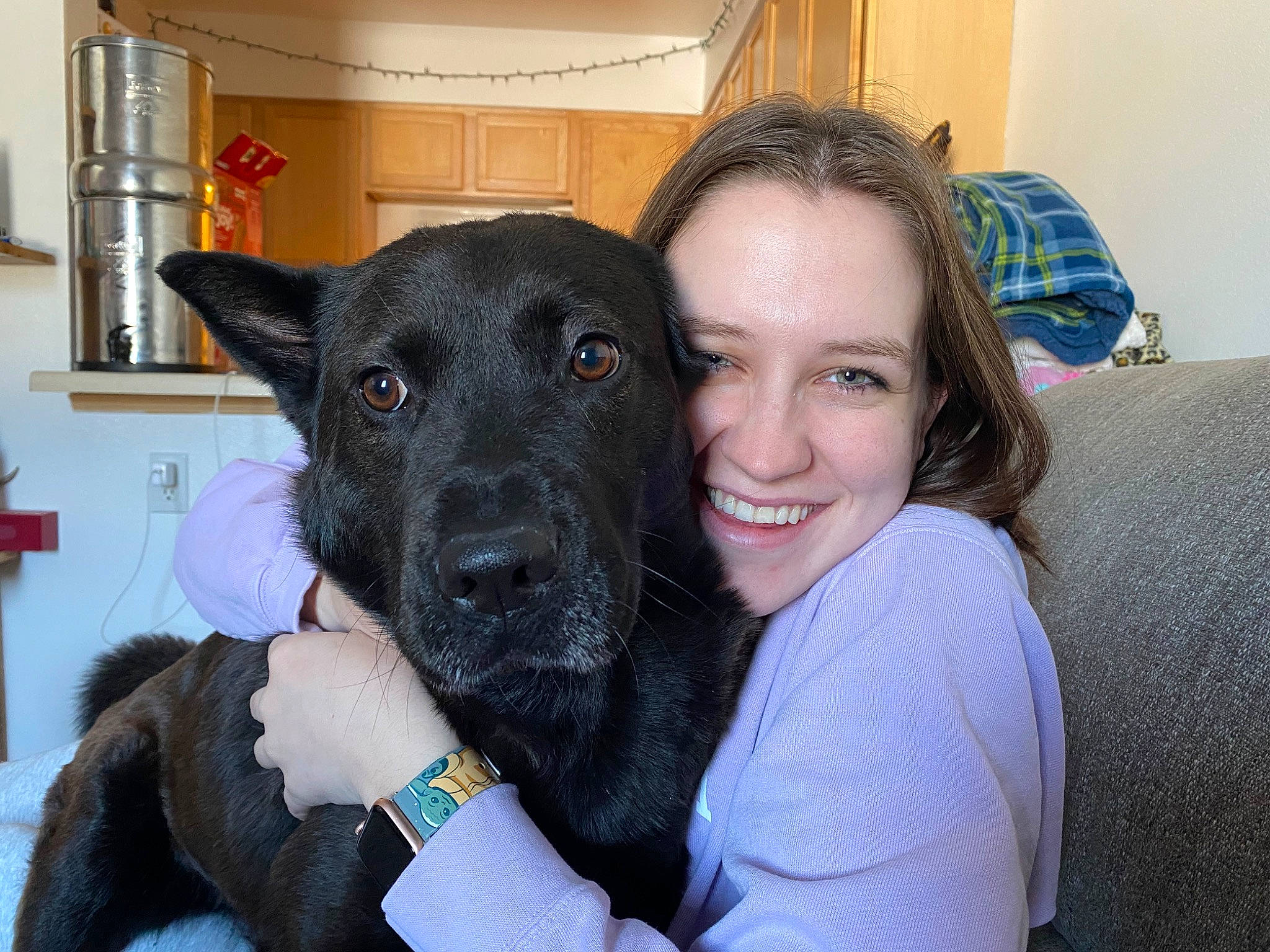 Avery joined the competition — help win amazing prizes! borador, canidae, carnivore, comfort, companion_dog, couch, curtain, dog, dog_breed, dog_collar, ear, fawn, fur, happy, mammal, selfie, smile, snout, sporting_group, working_animal