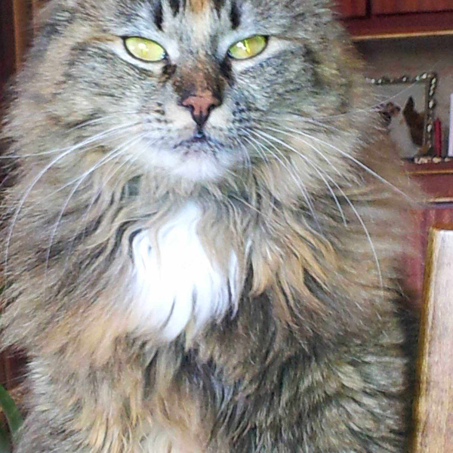 Cramby a rejoint le concours — aidez-le/la à gagner de superbes lots !