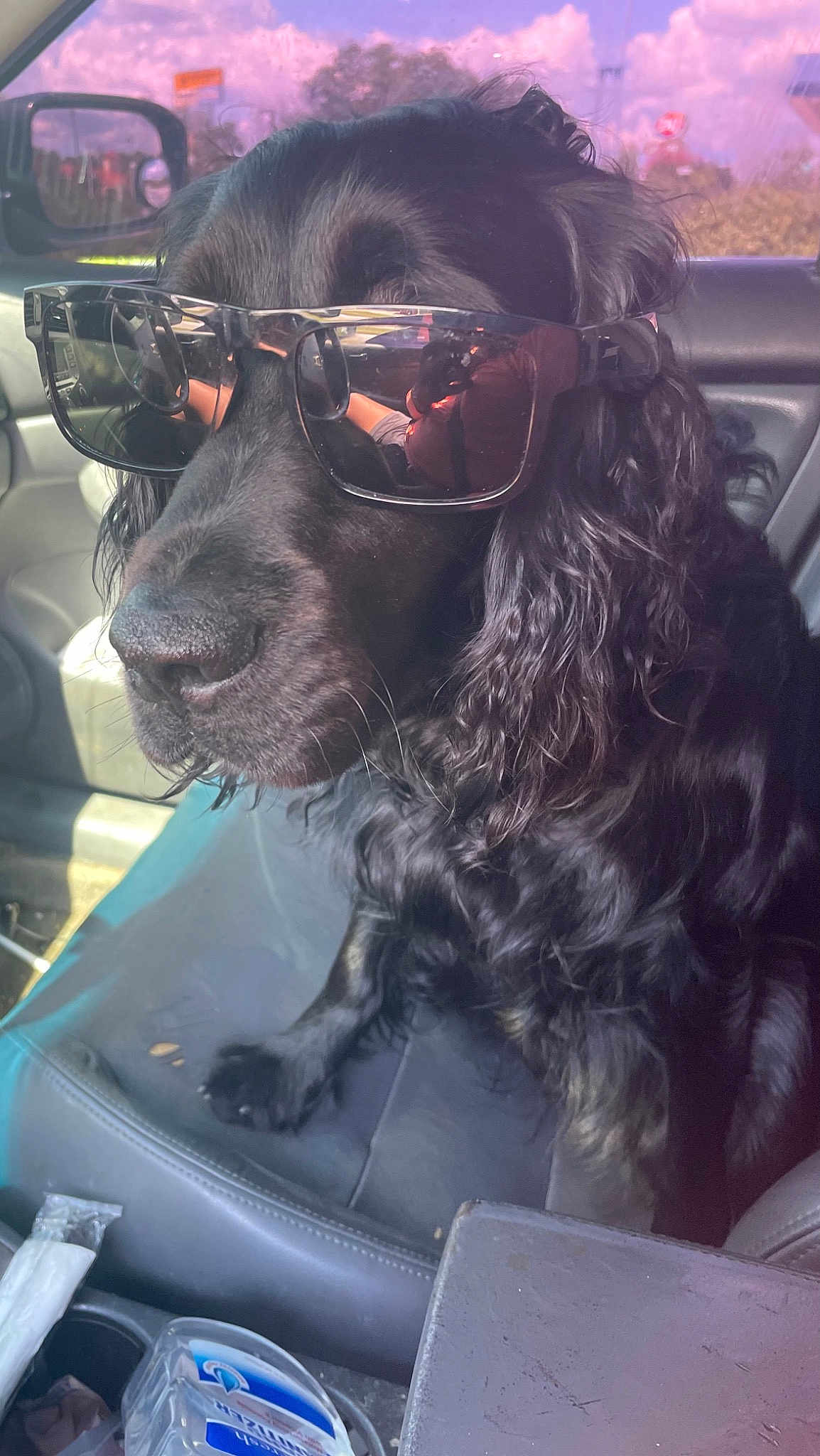 Bandit