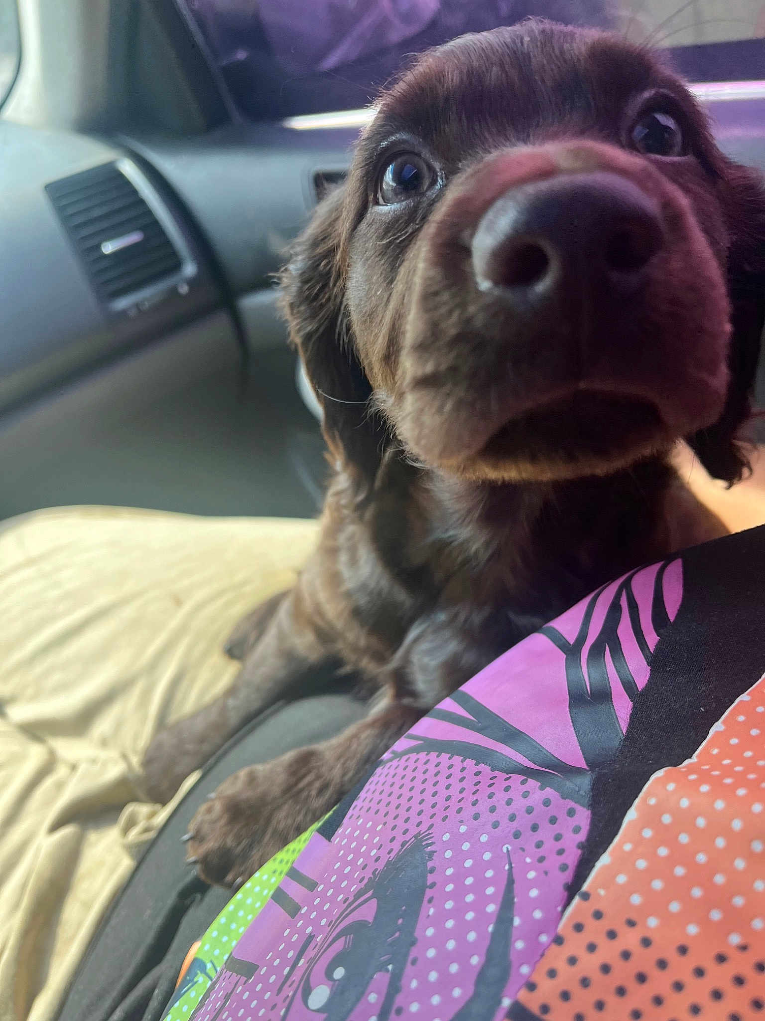 Cocoa