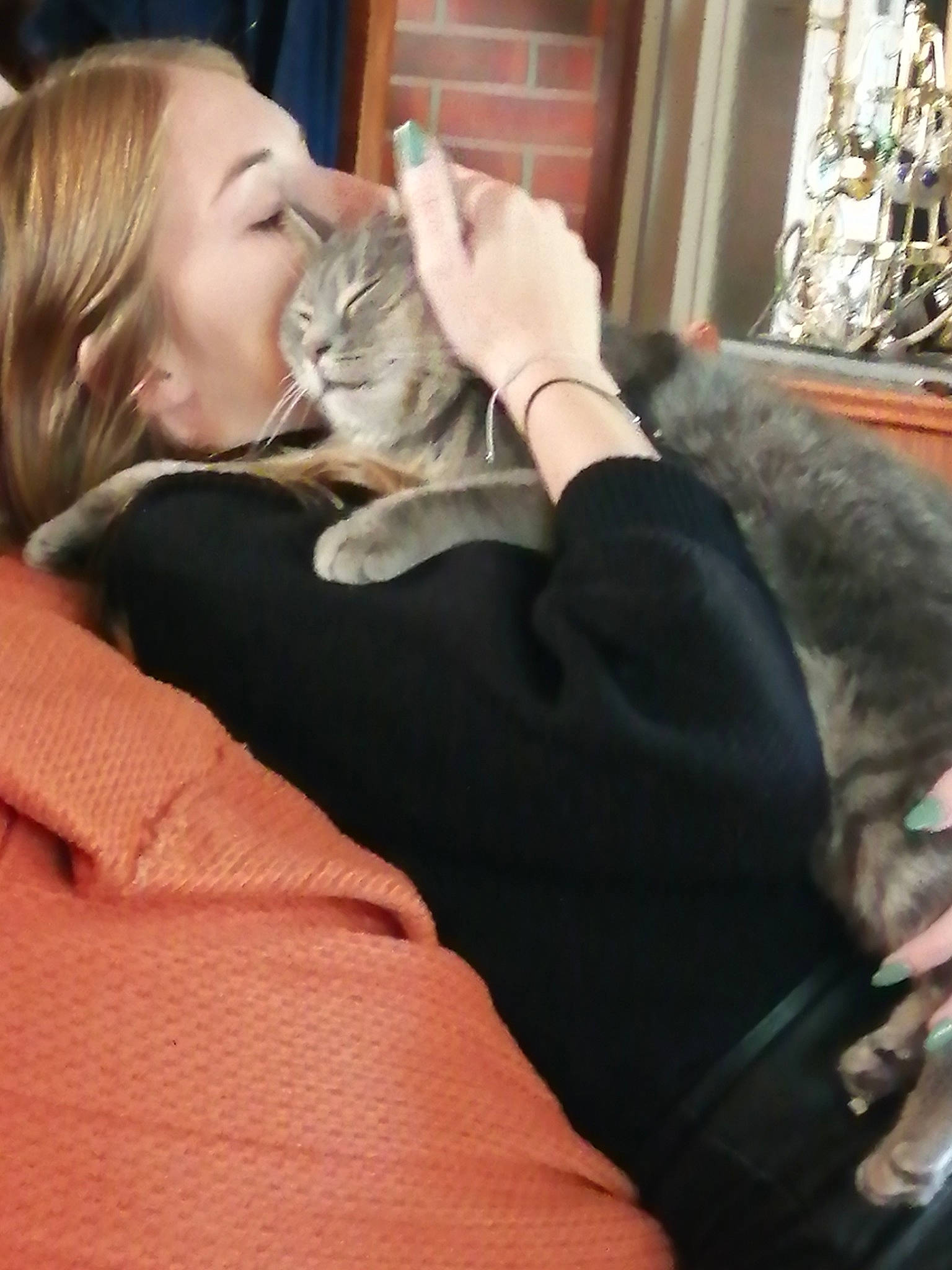 Neya participe au concours pour gagner de l'argent avec cette photo : blond, cat, comfort, ear, felidae, finger, fur, leg, long_hair, nap, sitting