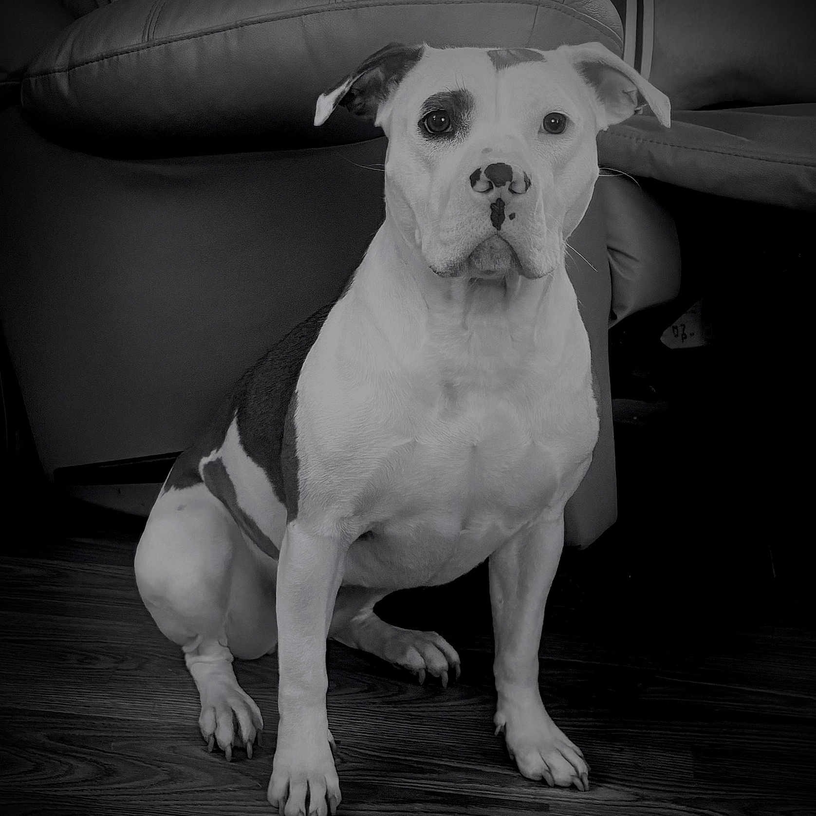 Gracie Mae