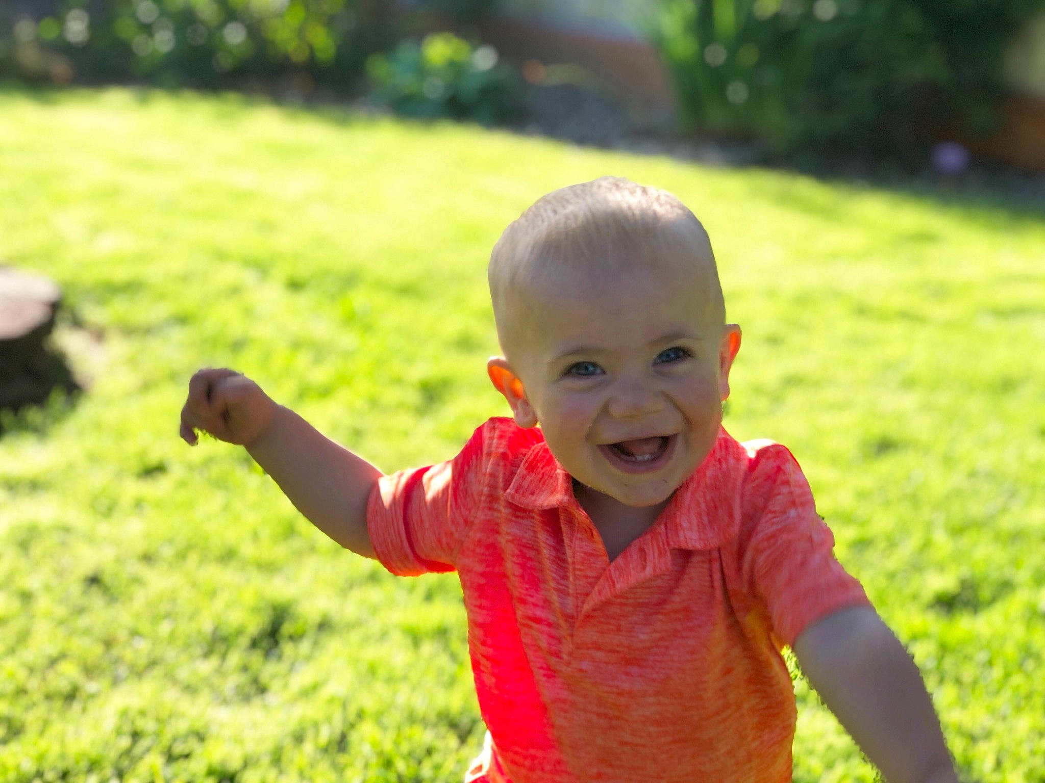 Kash joined the competition — help win amazing prizes! baby, child, face, facial_expression, finger, fun, grass, green, happy, head, joy, leaf, male, people, people_in_nature, person, play, red, skin, smile