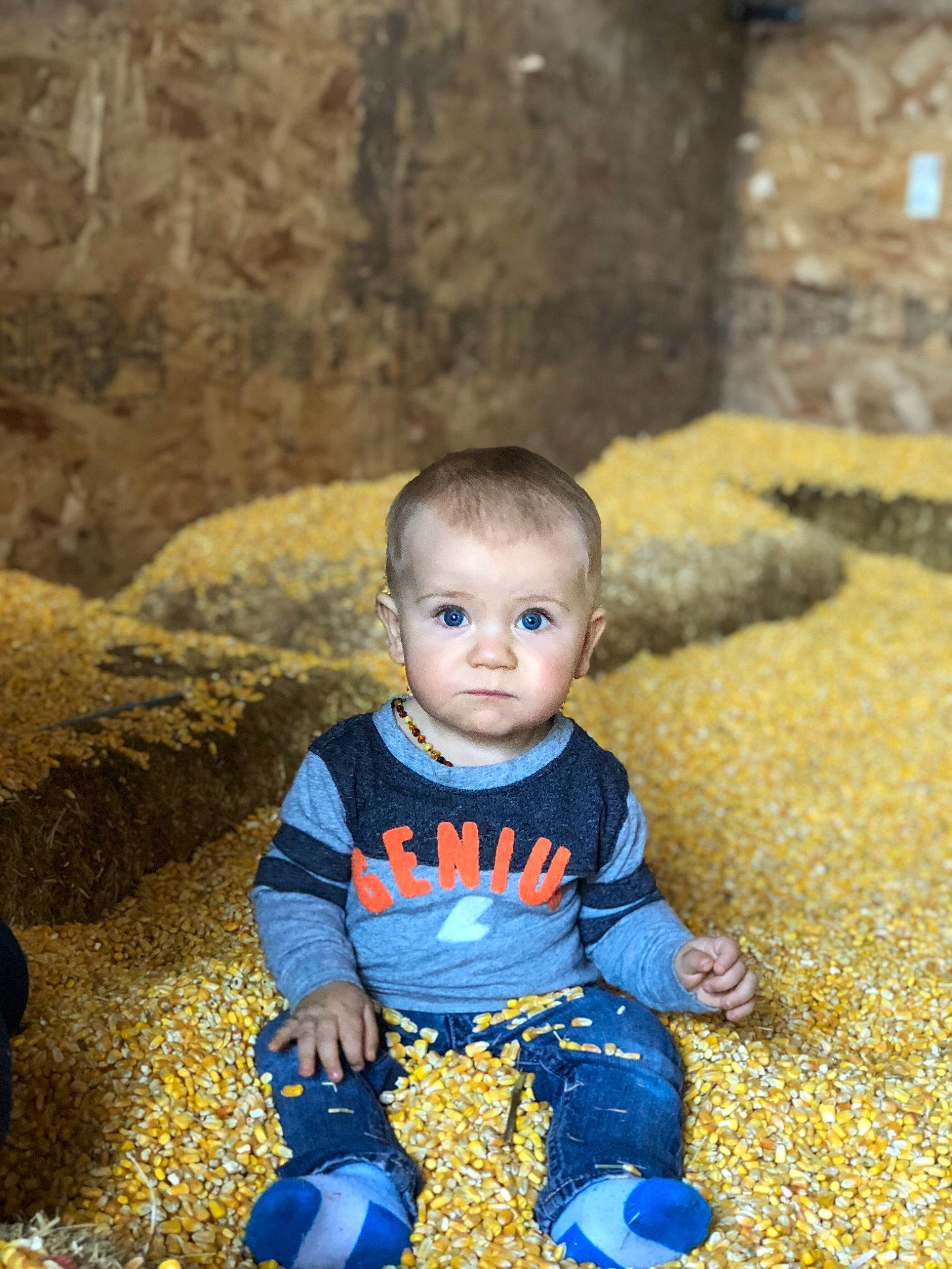 Kash is registered to the contest to win money with this photo: baby, blue, child, eye, fun, leaf, male, people, person, play, sitting, skin, smile, toddler, yellow