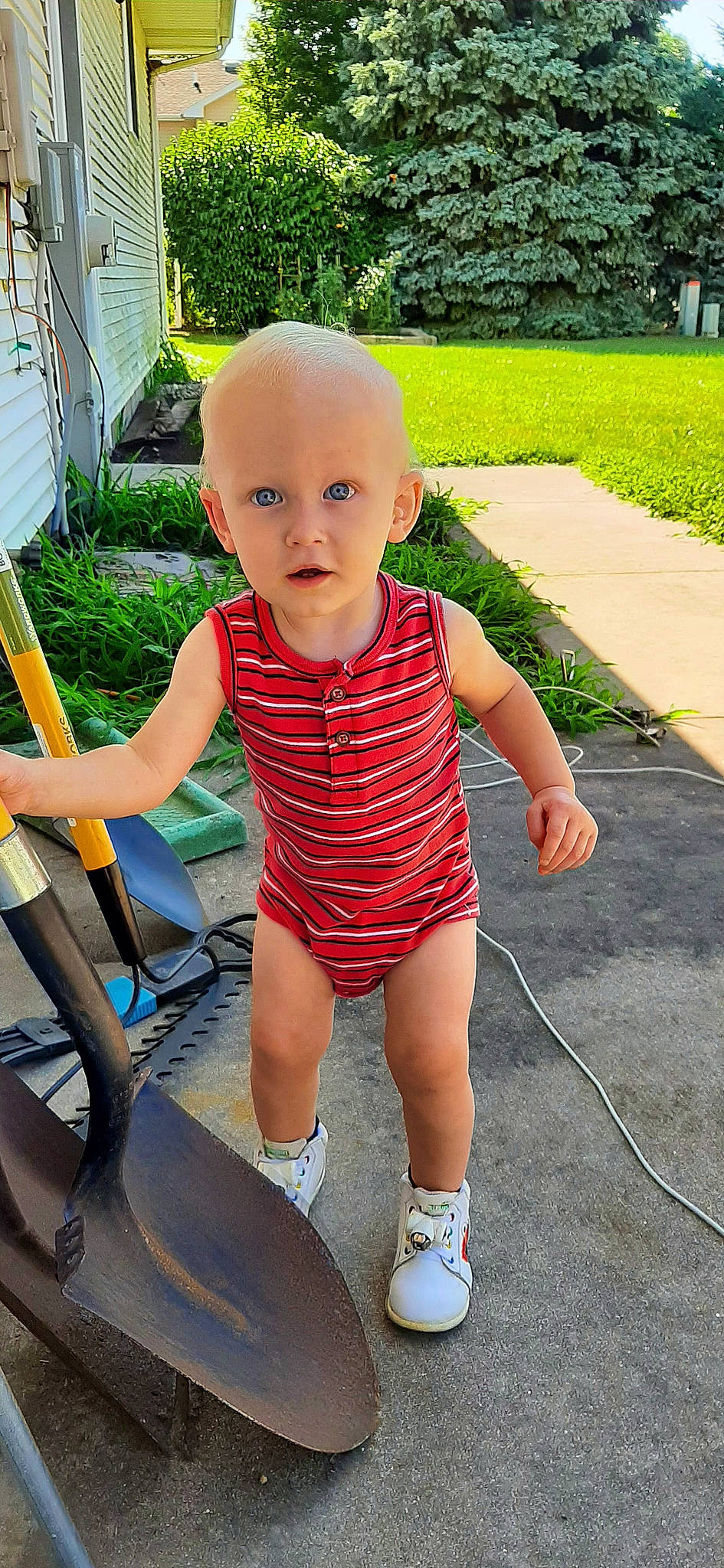 Ollie is registered to the contest to win money with this photo: baby, baby_toddler_clothing, child, electric_blue, eye, finger, fun, grass, green, happy, head, human_leg, leisure, people_in_nature, person, plant, sitting, skin, summer, surprise
