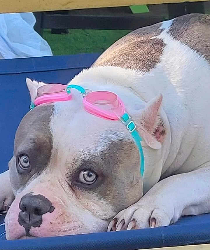 Luna
